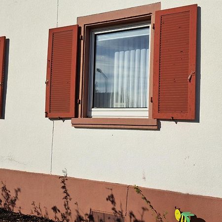 Schoene Wohnung In Worms Private Gastgeber 외부 사진